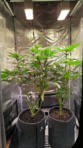 Growreport Bild 26