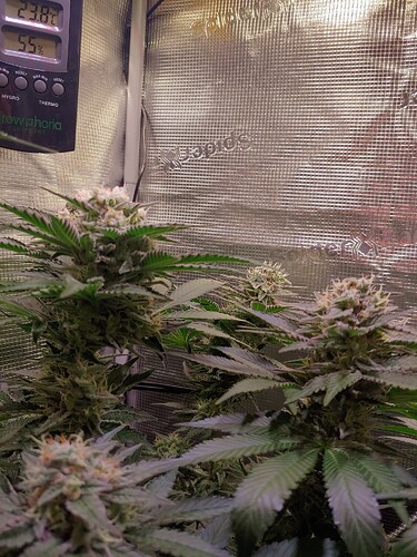 Growreport Bild 7