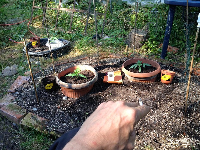 Growreport Bild 54