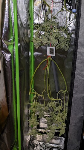 Growreport Bild 14