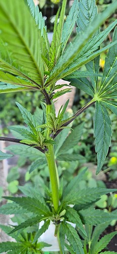 Growreport Bild 26