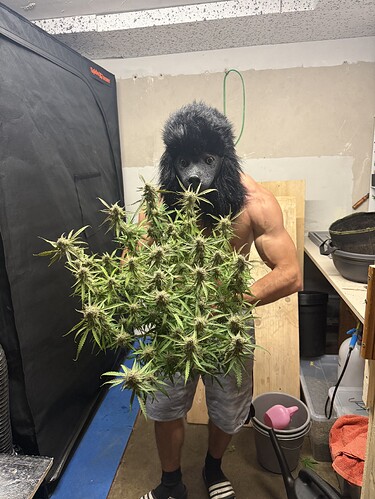 Growreport Bild 4