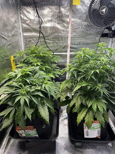 Growreport Bild 11