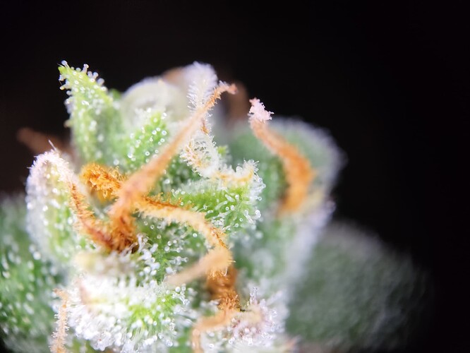 Growreport Bild 11