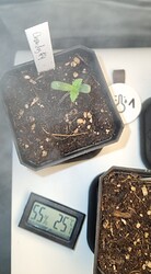 WhatsApp Image 2024-04-28 at 10.34.30 (4)