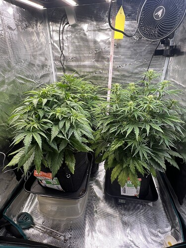 Growreport Bild 2