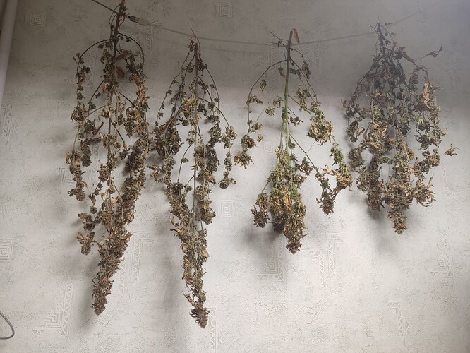 Growreport Bild 9