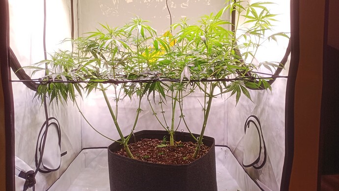 Growreport Bild 19