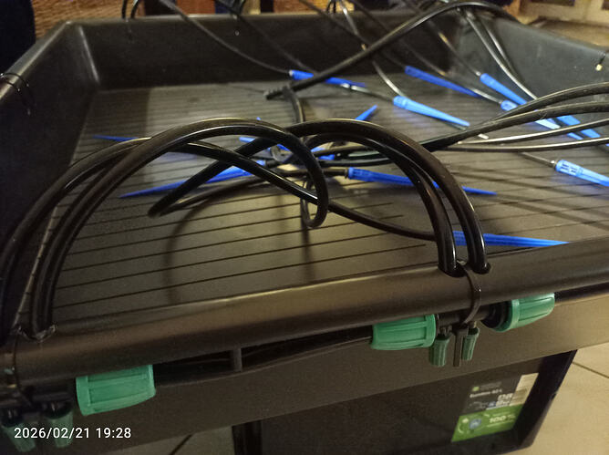 Growreport Bild 12