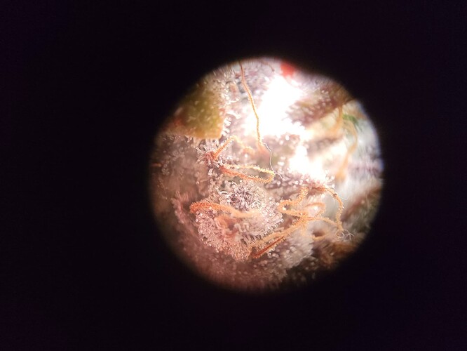 Growreport Bild 9