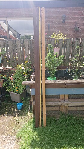 Growreport Bild 10