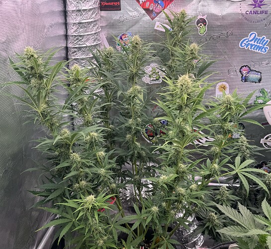 Growreport Bild 12