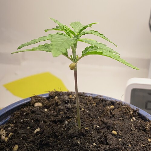 Growreport Bild 23