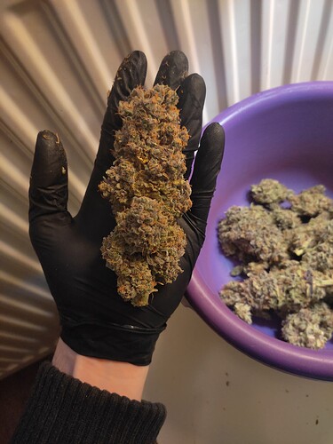 Growreport Bild 19