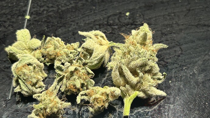 Growreport Bild 14