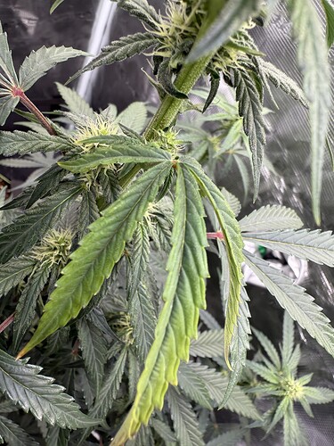 Growreport Bild 14