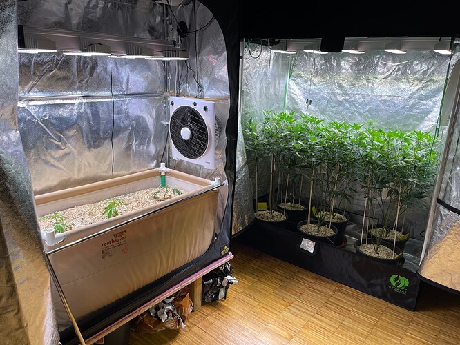 Growreport Bild 20