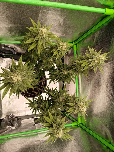 Growreport Bild 19