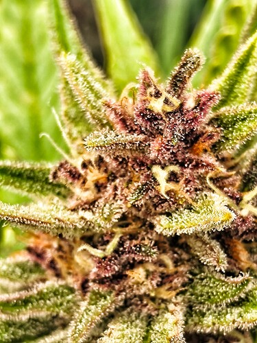 Growreport Bild 10