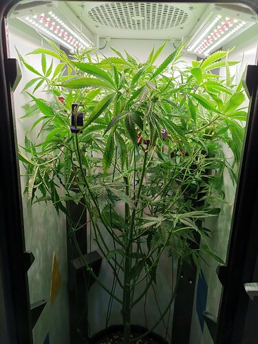 Growreport Bild 20