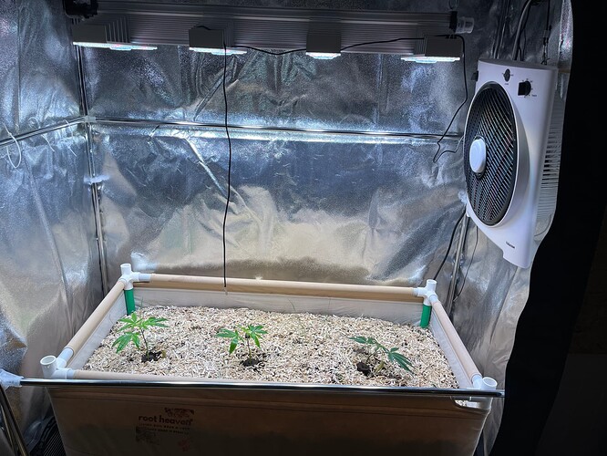 Growreport Bild 17