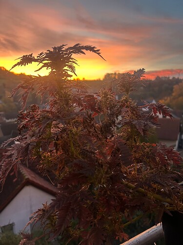 Growreport Bild 6