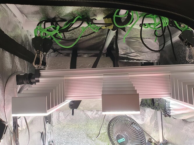 Growreport Bild 4