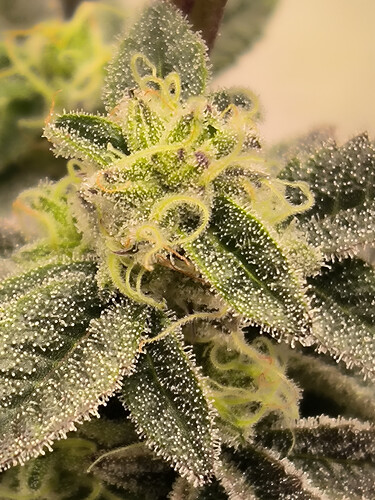 Growreport Bild 16