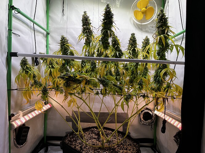 Growreport Bild 2
