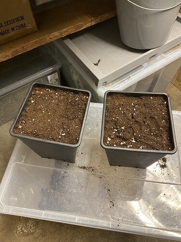 Growreport Bild 52