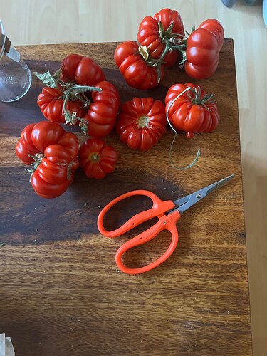 Growreport Bild 8
