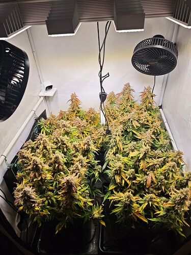 MVIMG_20251202_163851