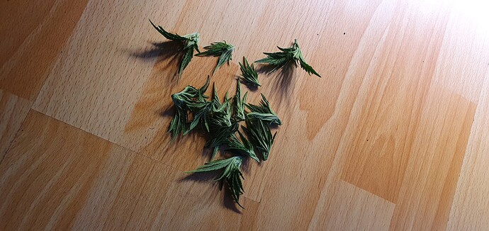 Growreport Bild 2