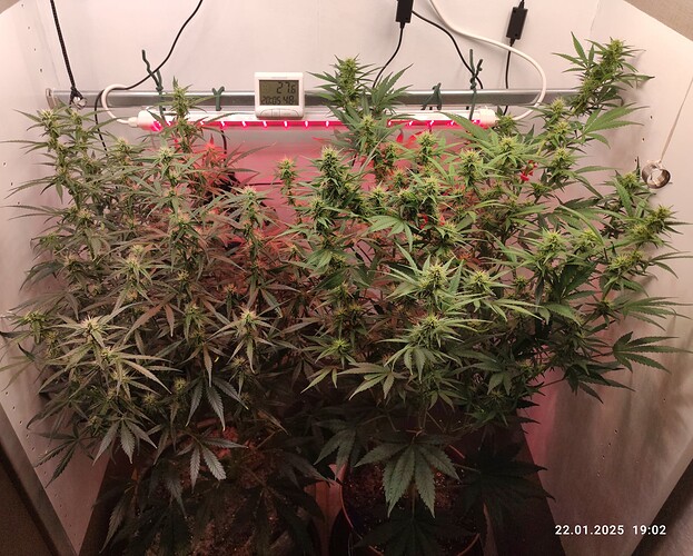 Growreport Bild 5