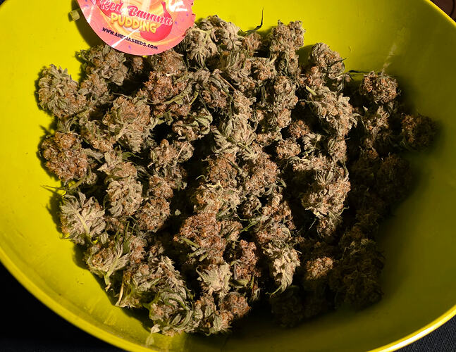 Growreport Bild 76