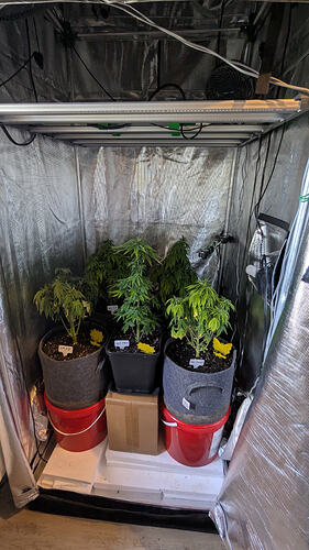 Growreport Bild 3