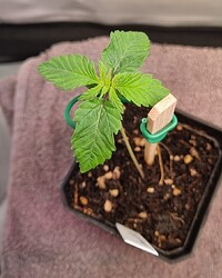 WhatsApp Image 2024-05-04 at 11.39.37 (3)