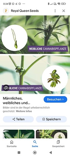 Screenshot_2024-07-08-00-24-29-758_com.google.android.googlequicksearchbox