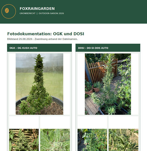 Growreport 2