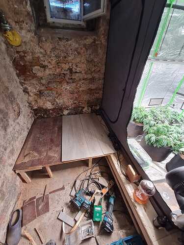 Growreport Bild 2