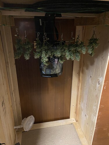 Growreport Bild 58