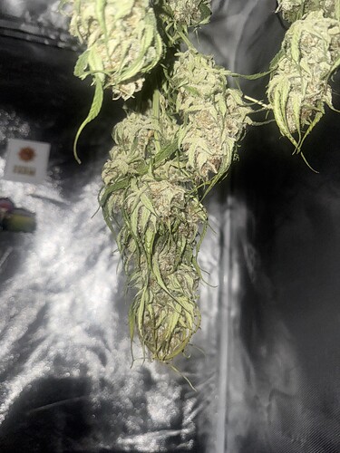 Growreport Bild 23