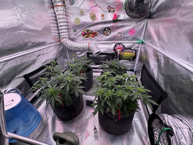Growreport Bild 21