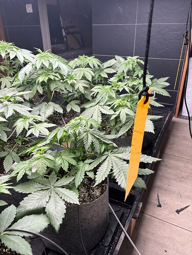 Growreport Bild 12