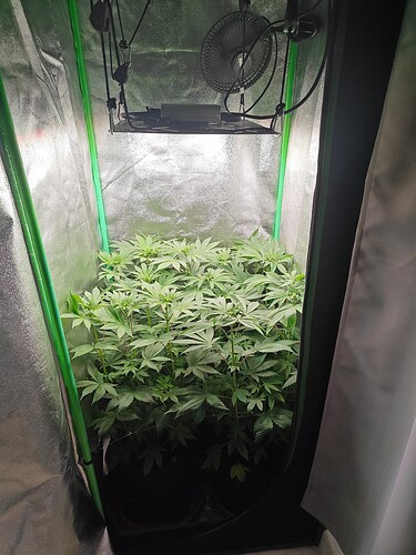 Growreport Bild 7