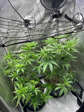 Growreport Bild 6