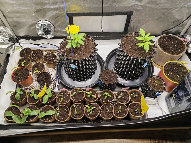 Growreport Bild 6