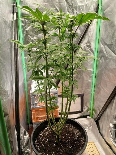 Growreport Bild 2