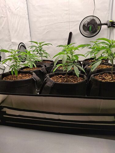 Growreport Bild 11