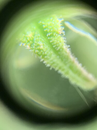 Growreport Bild 15